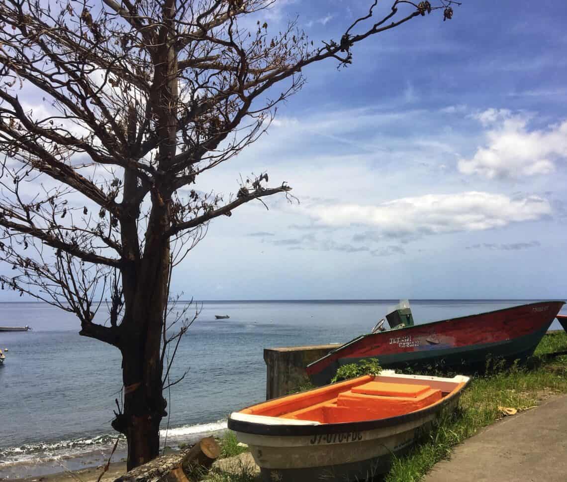 Colorful boats along the water's edge in Dominica