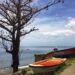 Colorful boats along the water's edge in Dominica