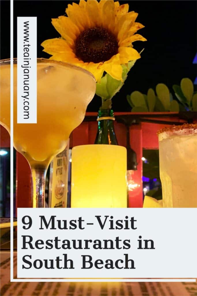 Pinterest Pin for 9 Must-Visit Restaurants in South Beach