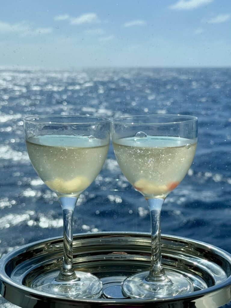 Two sparkling cocktail drinks in front of the sea