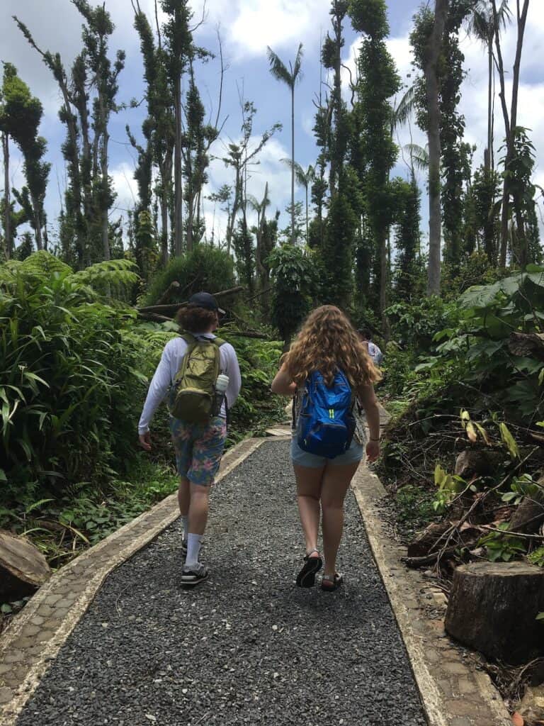 Hiking with waterproof backpacks in a rain forest